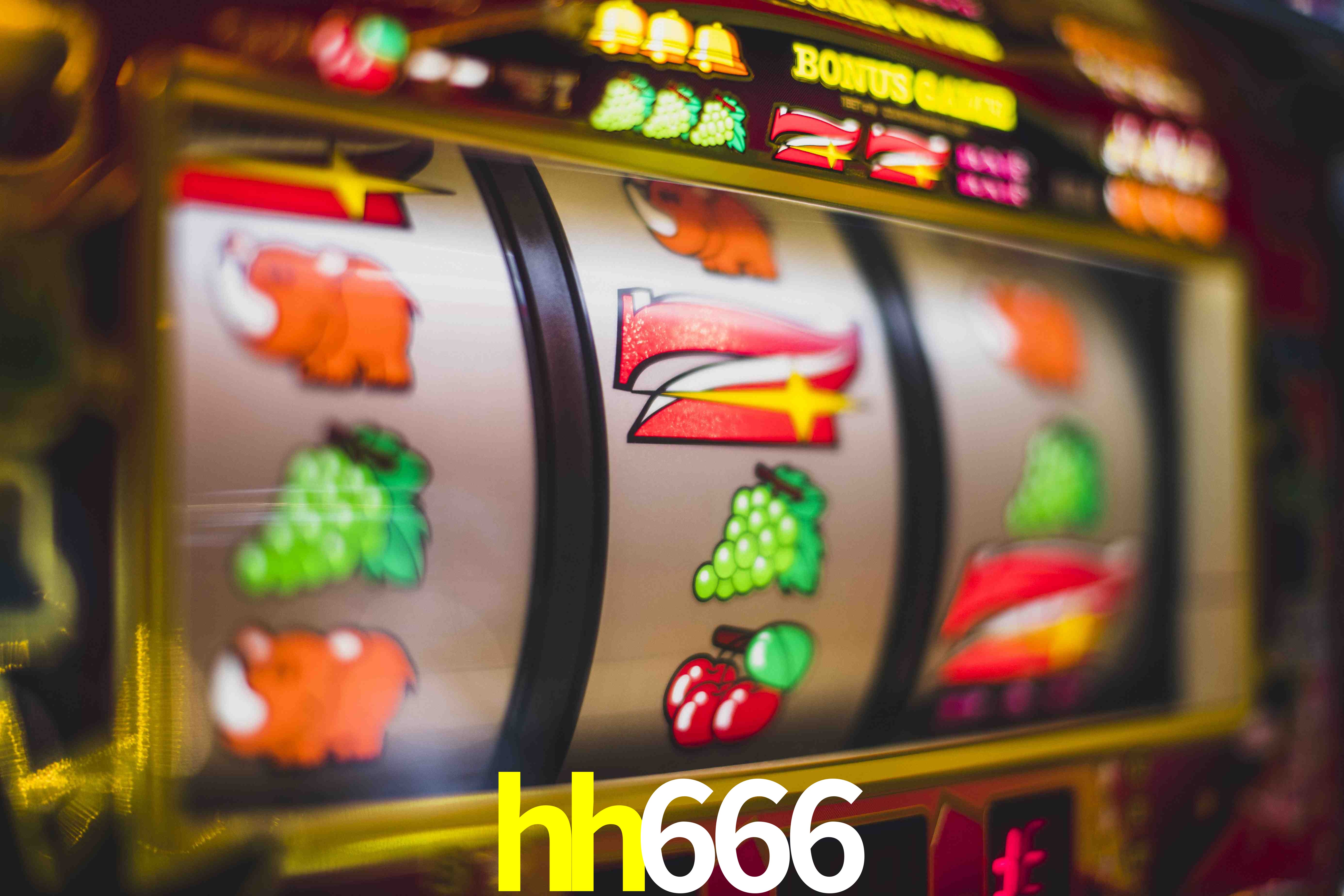 Tennis Betting hh666
